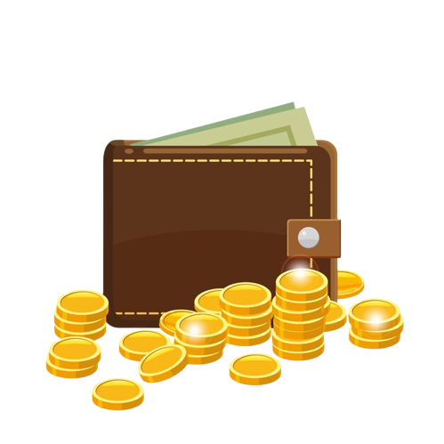 Wallet with coins